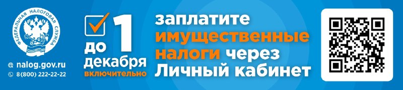 налоги.jpg